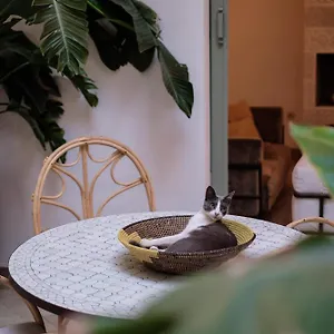 riad-danka.marrakeshhotelsmorocco.com/